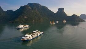 Peony Cruise Overview